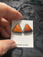 Orange spiny oyster/ " shadows in the sand"