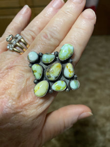 Palomino ring
