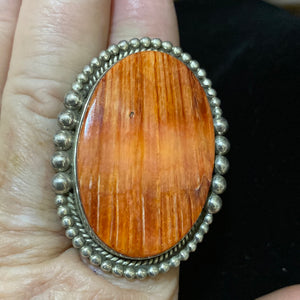 Large single stone Orange Spiny Oyster