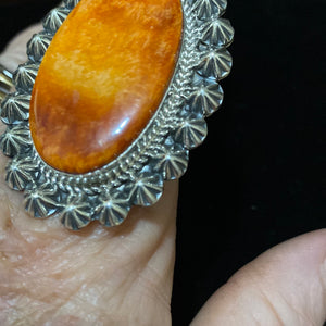 Orange spiny oyster surrounded by stars