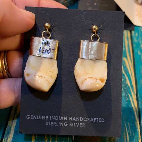 Elk tooth 14 K gold earrings!