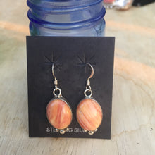 Harvey Jake spiny oyster dangles
