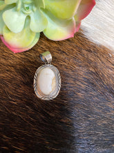 The White Buffalo Dreamer