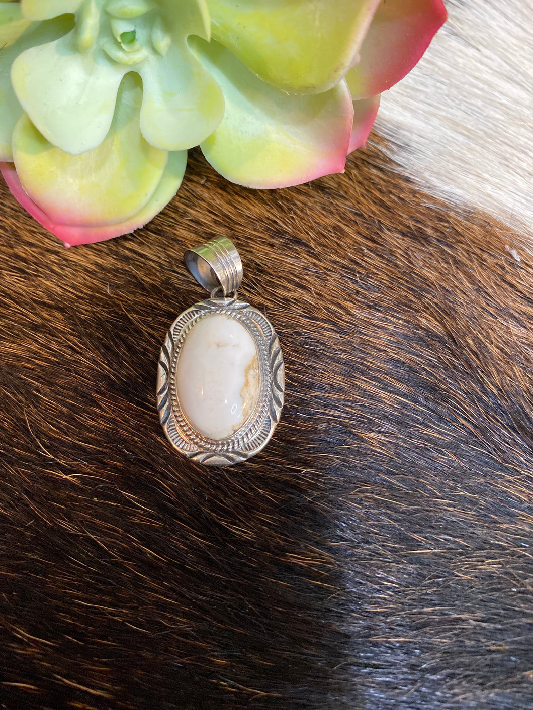 The White Buffalo Dreamer