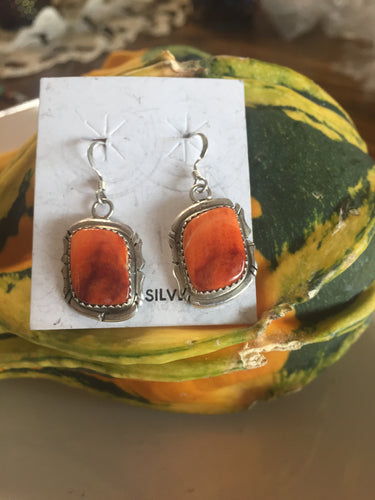 Spiny oyster orange! 