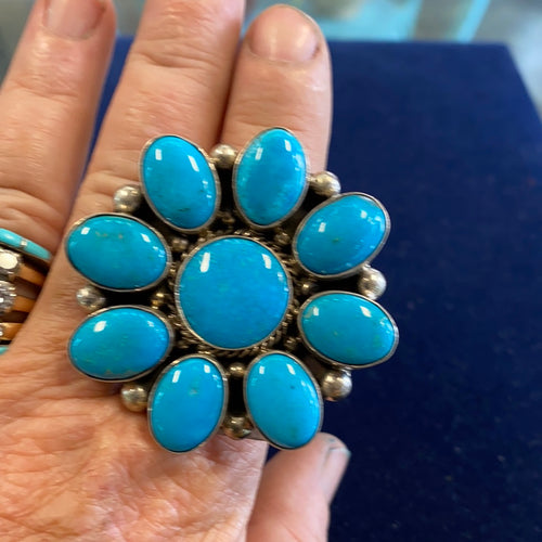 The Kingman cluster ring